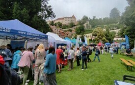 IMG_20240615_131033