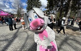 IMG_4798