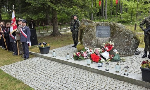 Zdjęcie do Uroczysty Apel Poległych w Borowicach
