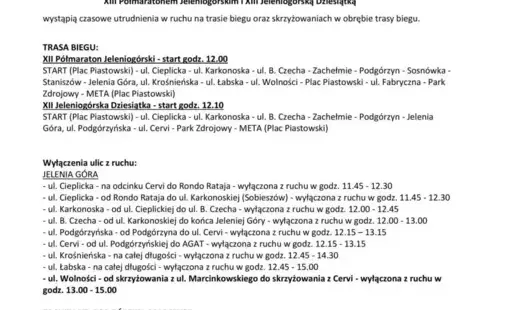 utrudnienia w ruchu afisz